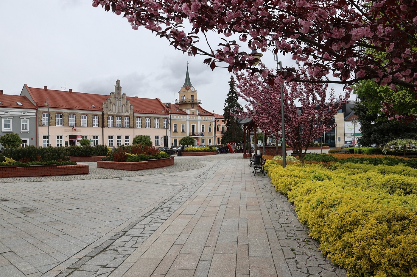 Twoja firma widoczna w Lubaczowie. Potęga pozycjonowania lokalnego